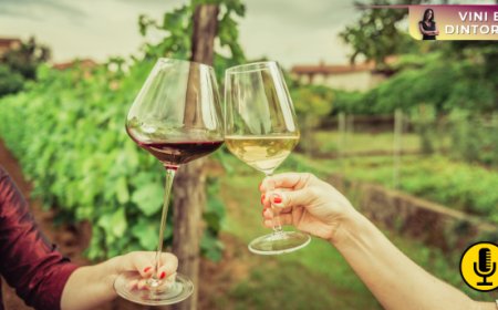 Le vigne come destinazione turistica: una prospettiva su cui investire