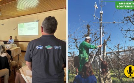 Control Carbon: da Conserve Italia lo strumento per dare valore alla CO2 assorbita dalle piante