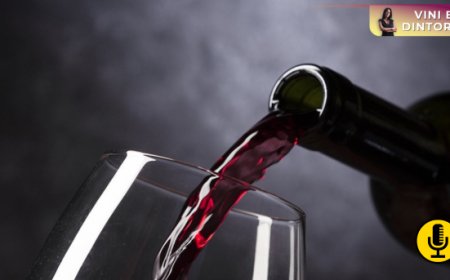 La Francia del vino non rinuncia al vetro ma spinge sull’impiego di bottiglie più leggere