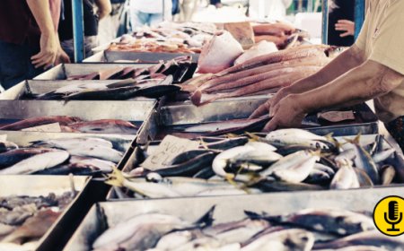 Sicurezza alimentare: sequestrate centinaia di kg di pesce non tracciato