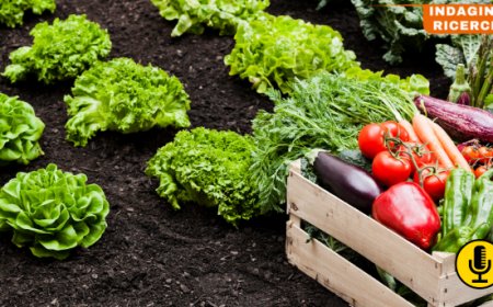 L'agricoltura biologica continua a crescere in Italia