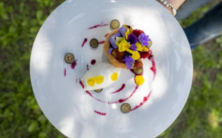 Le novità estive di  Villa Terzaghi