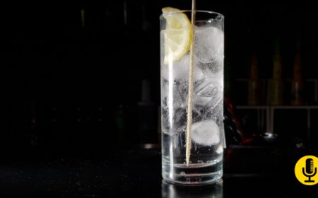 Dieci consigli per preparare un Gin Tonic perfetto