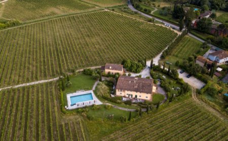 Fattoria Sardi: il rifugio perfetto per l'estate tra natura e vino