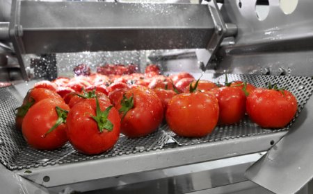 Accordo tra Coldiretti, Filiera Italia e ANICAV per valorizzare la filiera del pomodoro da industria