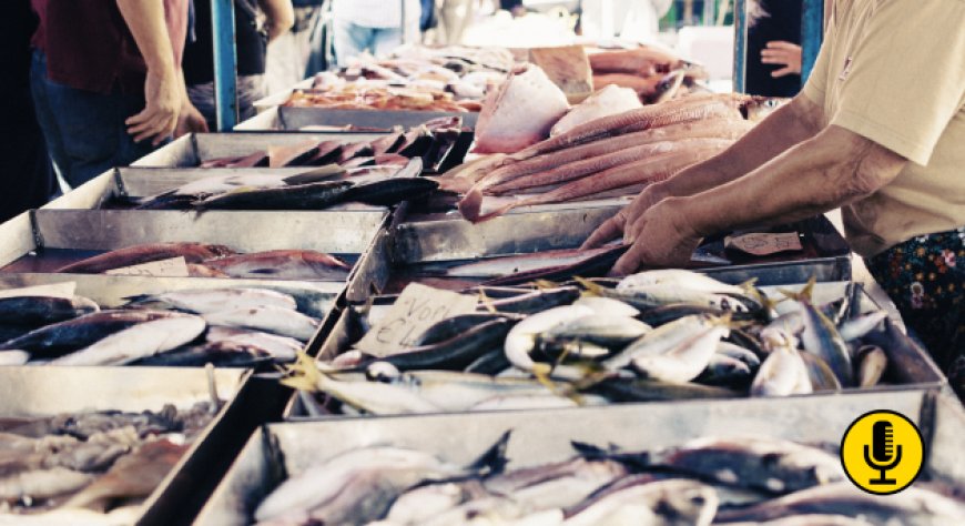 Sicurezza alimentare: sequestrate centinaia di kg di pesce non tracciato