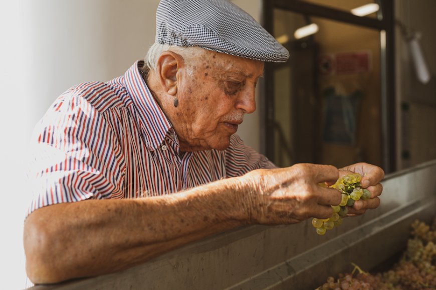 I 60 anni dei vini di Emidio Pepe raccontati dalla terza generazione. Intervista ad Elisa De Iulis Pepe