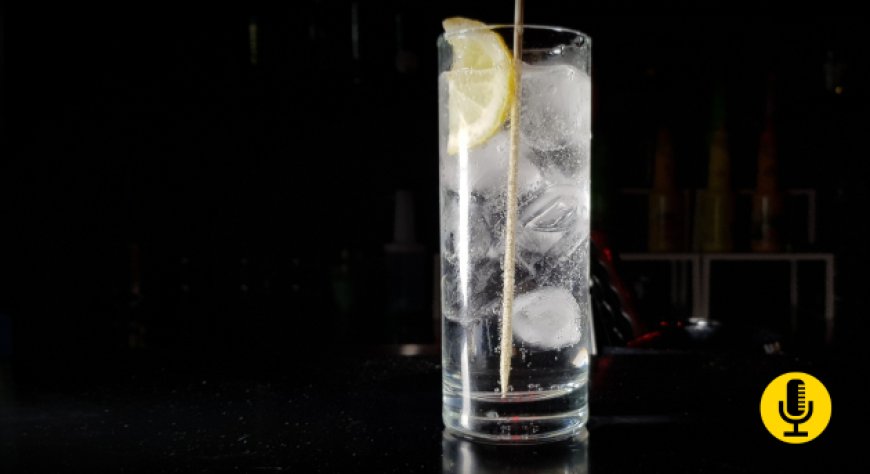 Dieci consigli per preparare un Gin Tonic perfetto