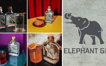 Elephant Gin celebra il World Elephant Day con quattro cocktail inediti