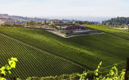 ''Settembre in Vigna'', degustazioni e benessere a Palazzo di Varignana