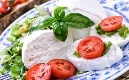 Mozzarella di Bufala Campana Dop: importanti cambiamenti nella certificazione del latte