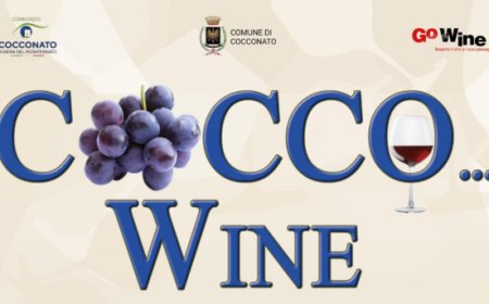 Dal 30 agosto al 1 settembre 2024 - Cocconato (Asti) - Cocco Wine