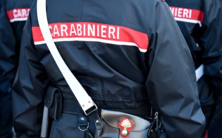 Sicurezza  alimentare: intensificati i controlli su tutta la filiera
