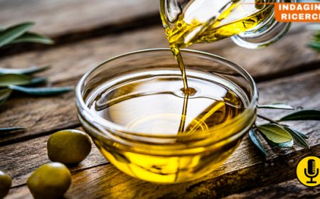 L'Italia dell'olio d'oliva: produzione, export e prospettive future