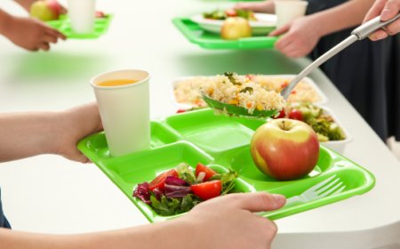 Bando di Gara - Fornitura pasti per la mensa scolastica al Comune di Boccioleto (VC)