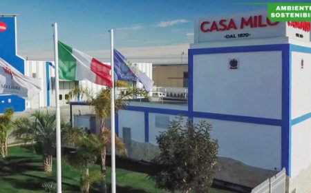 Gruppo Milo: crescita continua nel 2024 con innovazione e sostenibilità