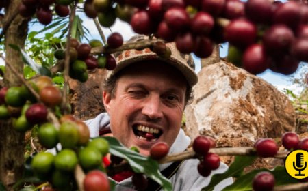 SCA Italy,  il valore del caffè oltre il prezzo: un approccio sostenibile e consapevole