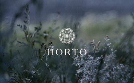 Lo chef Alberto Toè lascia il ristorante Horto