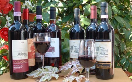 Carmignano, il terroir toscano che racconta storia e qualità del vino