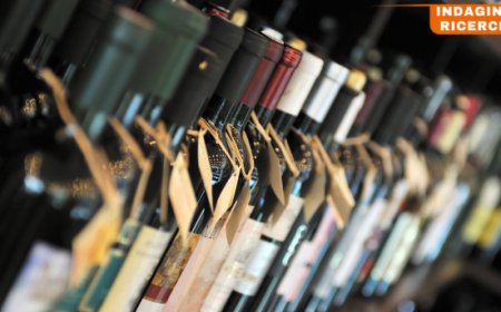 Vino italiano nel 2024: analisi delle esportazioni del primo semestre