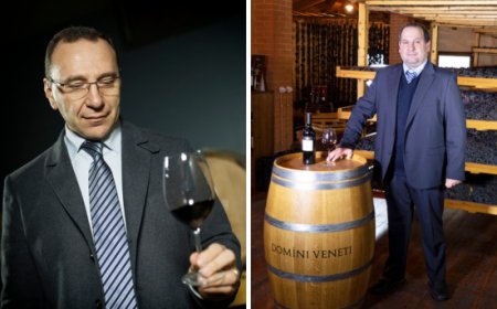 Cantina Valpolicella Negrar: millesimo 2024 da scoprire