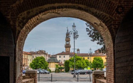 Tre risotti d'autore a "Riso e Vino" a Casale Monferrato