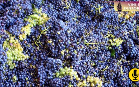 Una vendemmia scarsa mette a dura prova la Francia del vino