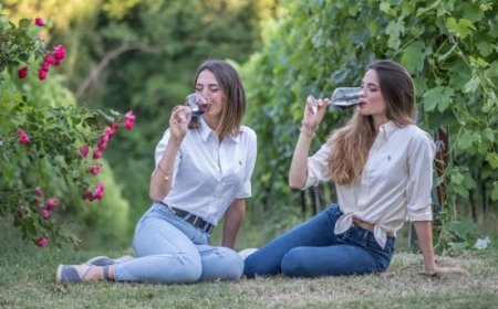 Fantini Wines. Il richiamo della terra: le sorelle Sciotti tornano alle origini nell'azienda di famiglia