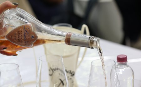 Modena Champagne Experience, l'evento punto di riferimento per i professionisti dell'Horeca