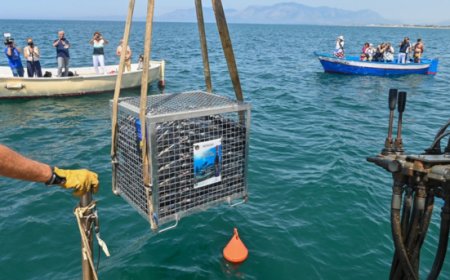 Antica Distilleria Petrone: nuova sfida di affinamento sott'acqua con il limoncello