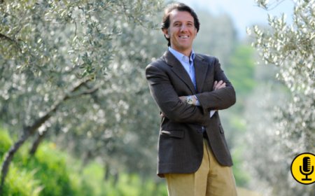 Olio extravergine d'oliva. Entro fine anno i prezzi potrebbero calare del 40%