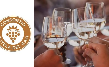 Gavi DOCG: più di 9 bottiglie su 10 volano all'estero