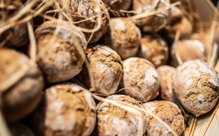 Salute: il ruolo del pane nella dieta sana