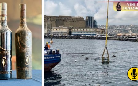 Distilleria Petrone: il cantinamento in mare dei liquori tra ricerca e solidarietà
