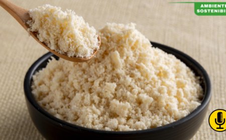 Valorizzazione dell'okara nell'industria alimentare: Il progetto di Unigrà per la sostenibilità