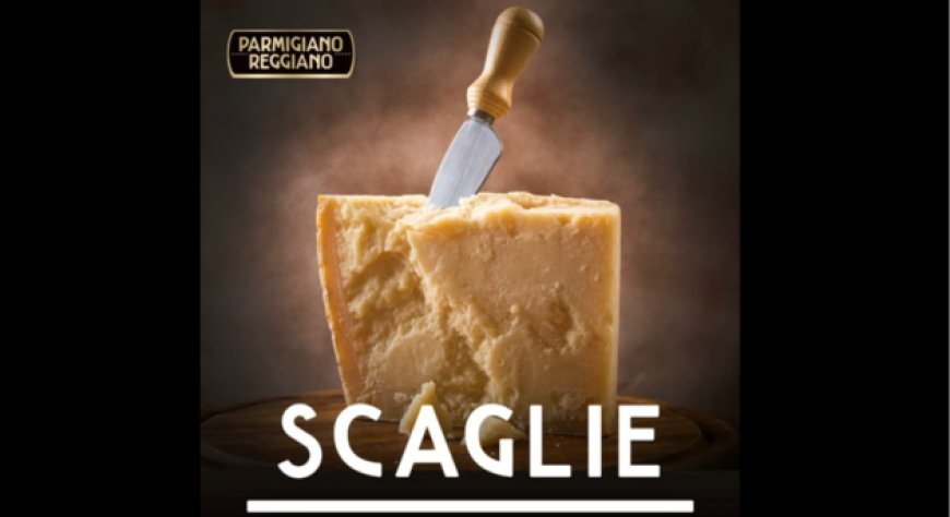 ''Scaglie'', il podcast che esplora il mondo del Parmigiano Reggiano