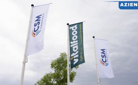 Nasce Vitalfood: l’unione tra Italcanditi e CSM Ingredients per innovare il settore alimentare