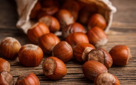 ENEA rivela il potere antitumorale della nocciola