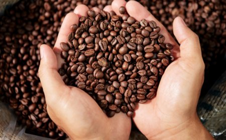 Tracciabilità del caffè: un progetto per garantire qualità e origine