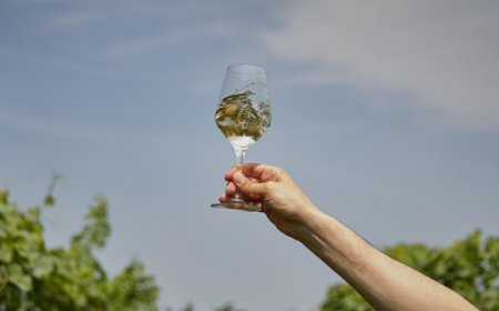 Signorvino punta alla crescita: 50 locali entro il 2025