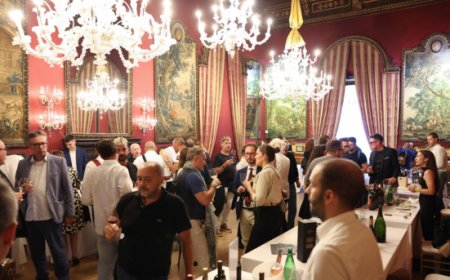 Lovely Wines: profilo del settore vinicolo e le sue prospettive