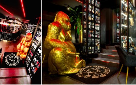 Angry Monkey Bar: nuova apertura a Piazza Bologna, fulcro della movida romana