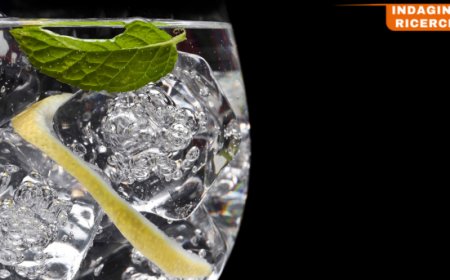 Gli italiani riscoprono il gin. Lo studio di CGA by NIQ