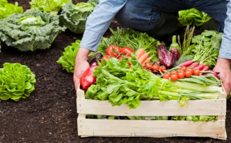 Il Masaf lancia un concorso per creare il marchio "Biologico Italiano"