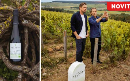 Telmont Champagne svela la nuova cuvée Réserve de la Terre