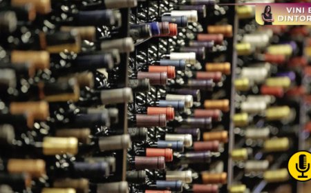 Al via gli incentivi per investimenti in sistemi digitali destinati a produttori di vino DOP, IGP e biologico