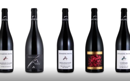 Dal podio al calice: Anita Neveu e i suoi vini d'eccellenza