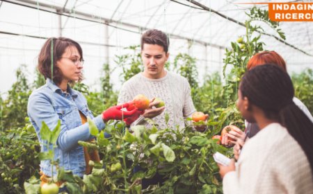La digitalizzazione trasforma l'agricoltura: crescita del 19% nel 2023