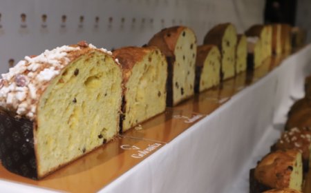 Mastro Panettone 2024: svelati i finalisti dell'ottava edizione