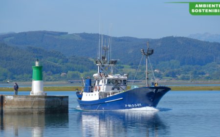 Grupo Consorcio pubblica il Report di Sostenibilità 2023